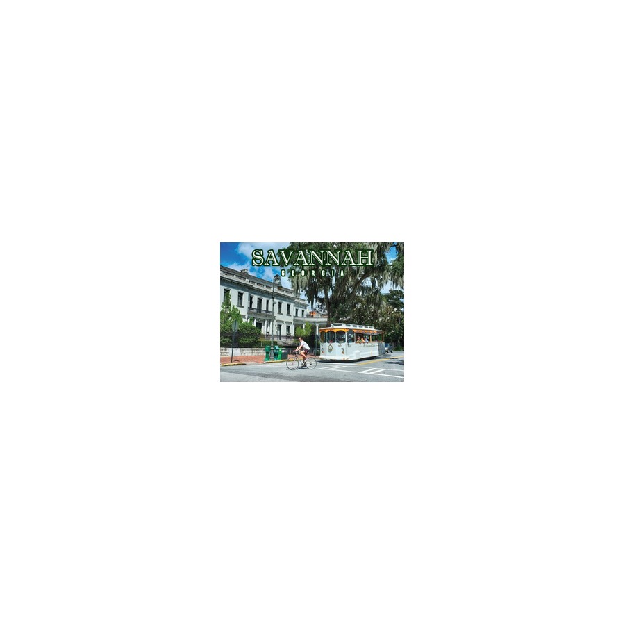 [86312] PVC EMBOSSED MAG SAVANNAH TROLLEY SPANISH MOSS